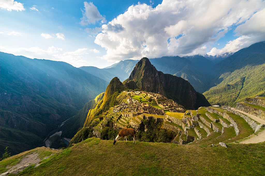 Talento remoto en Perú