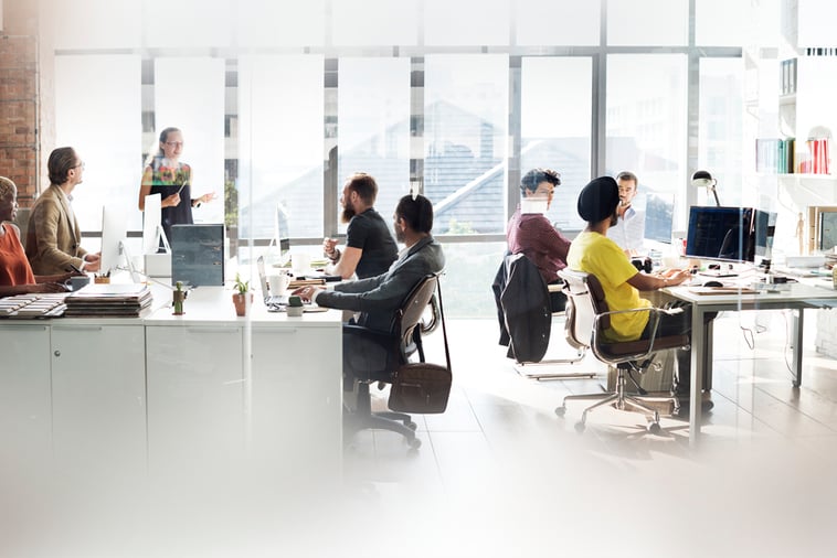 Las empresas gimnastas